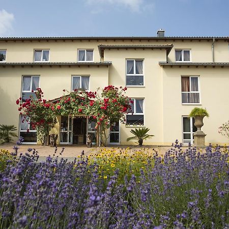 Mediterran Hotel Juwel Karlstein am Main Exteriör bild